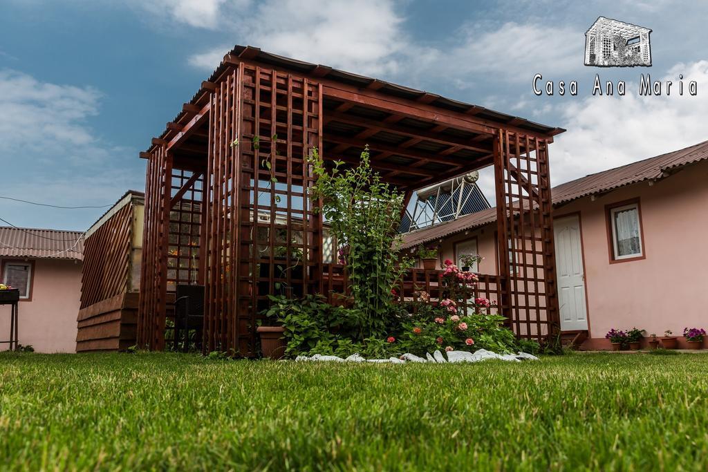 Casa Ana Maria Villa Vama Veche Exteriör bild