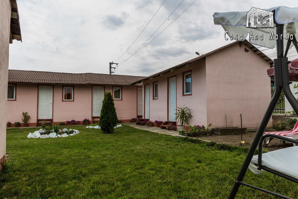 Casa Ana Maria Villa Vama Veche Exteriör bild