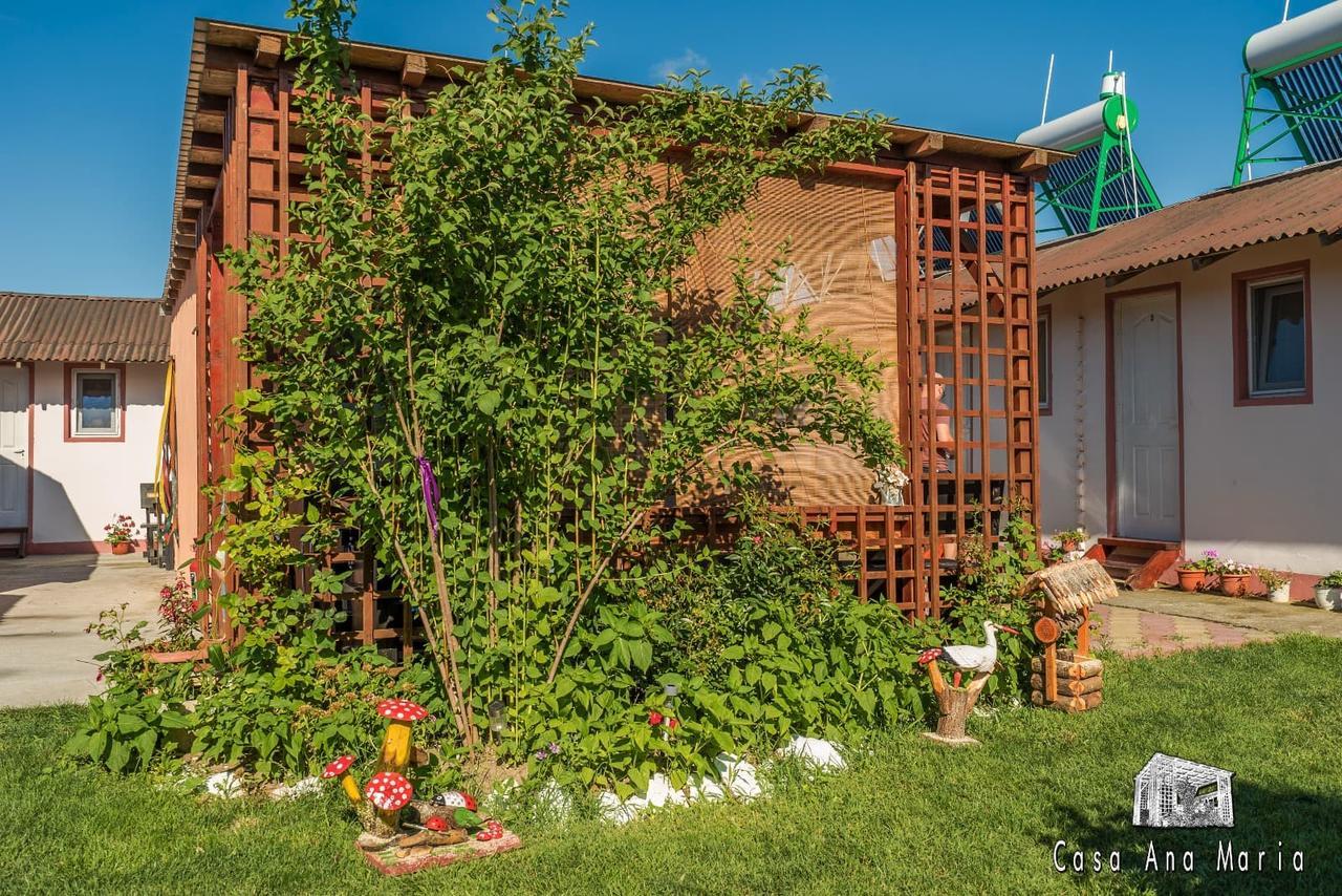 Casa Ana Maria Villa Vama Veche Exteriör bild