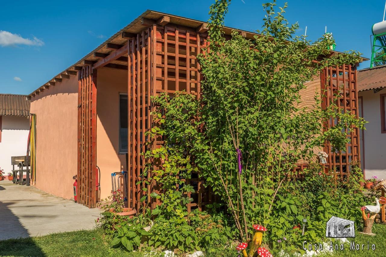Casa Ana Maria Villa Vama Veche Exteriör bild