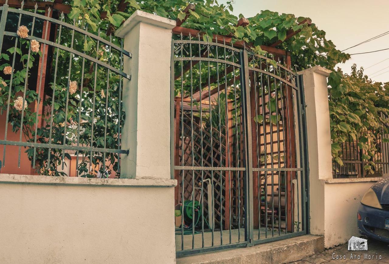 Casa Ana Maria Villa Vama Veche Exteriör bild
